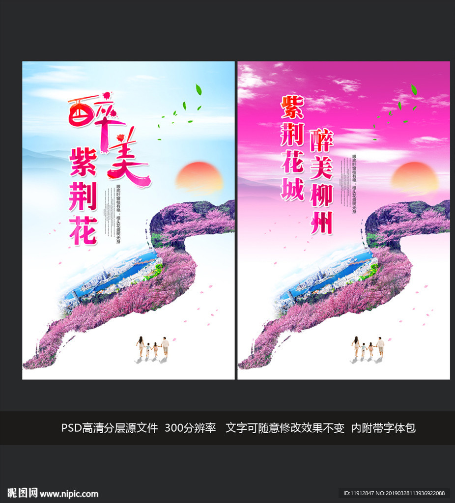 紫荆花