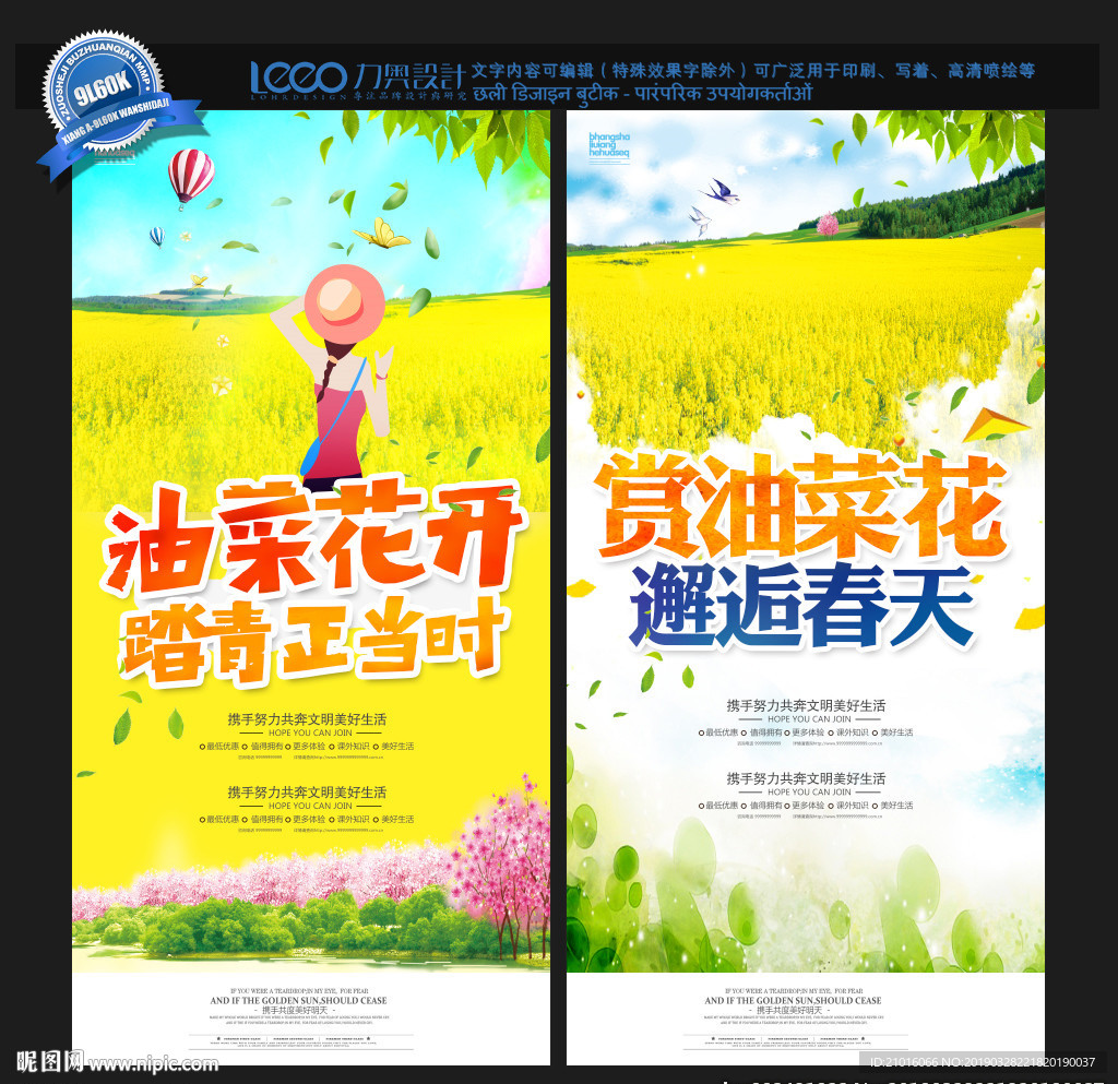 油菜花