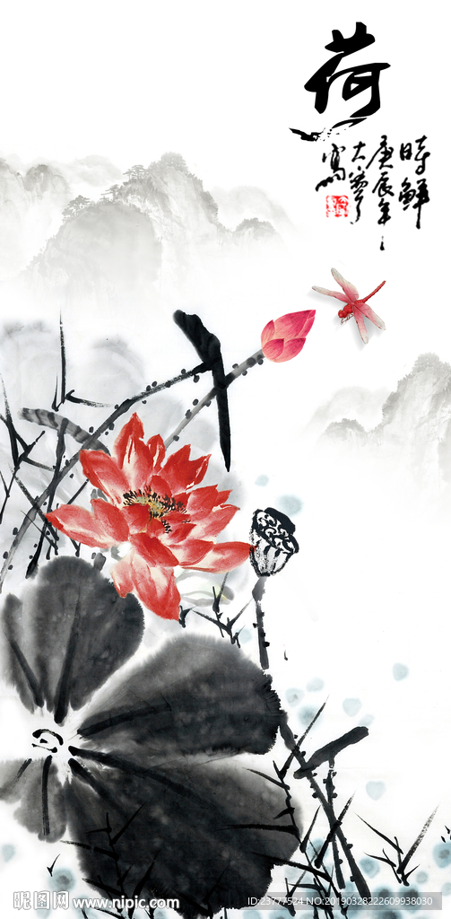 荷花