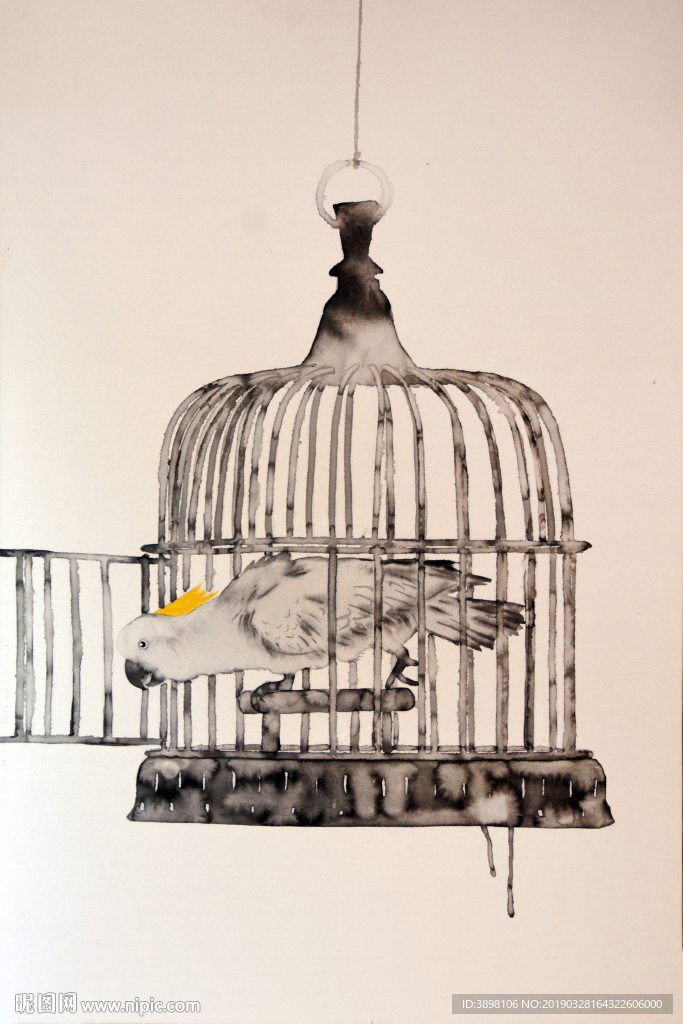 手绘艺术八哥鸟笼装饰画