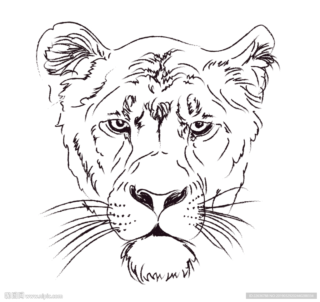 动物世界母狮子剪贴画头像创意图