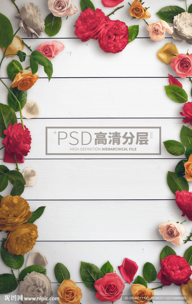 玫瑰