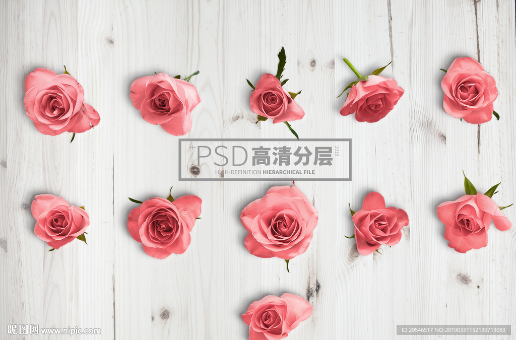 玫瑰