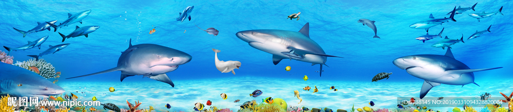 海洋世界风景玄关屏风电视背景墙