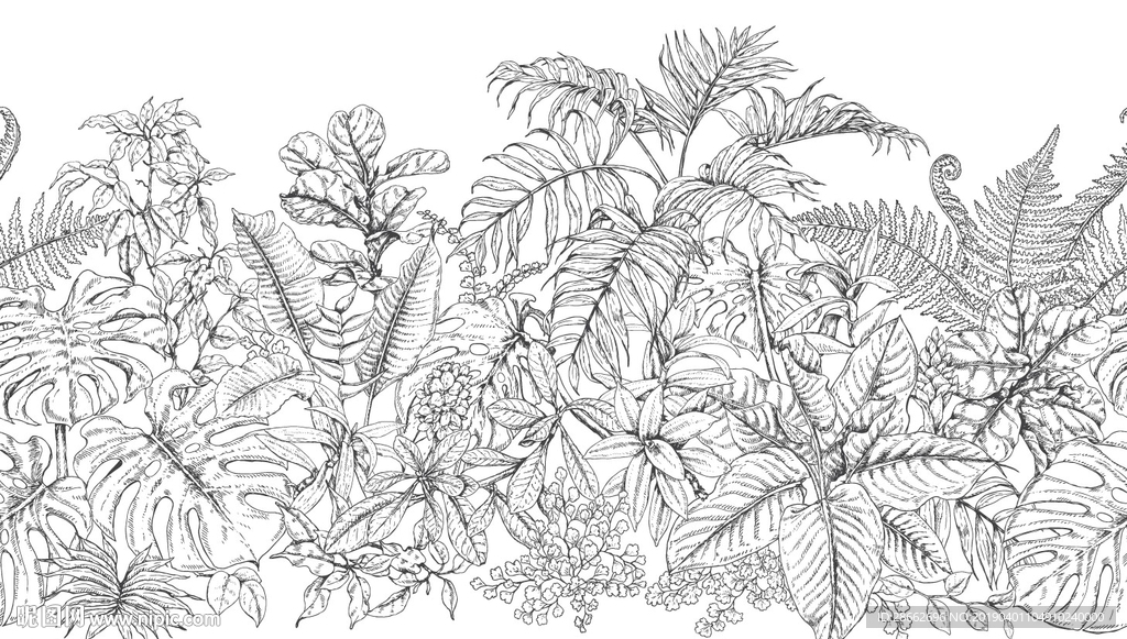 线描树叶插画插图