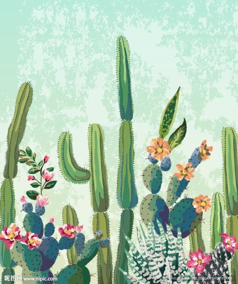 仙人掌植物插画插图