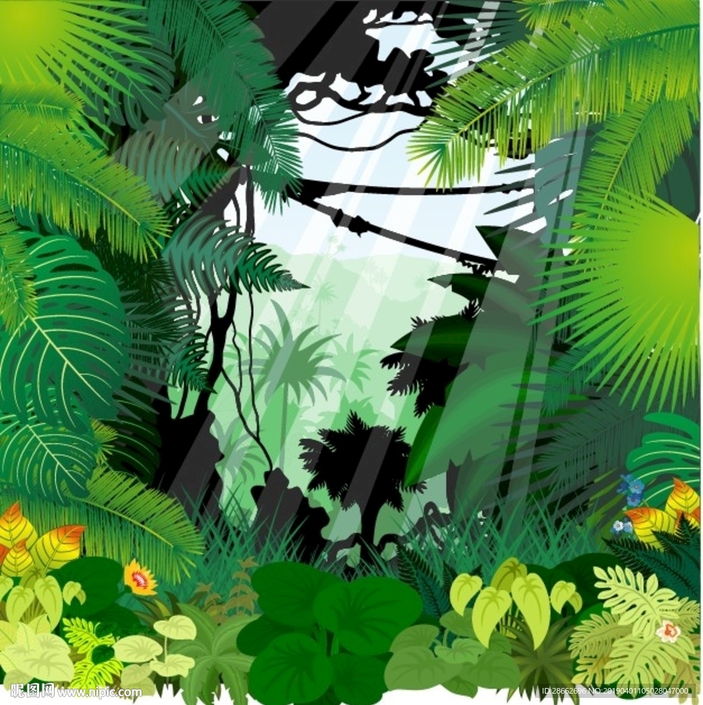 森林风景插画插图