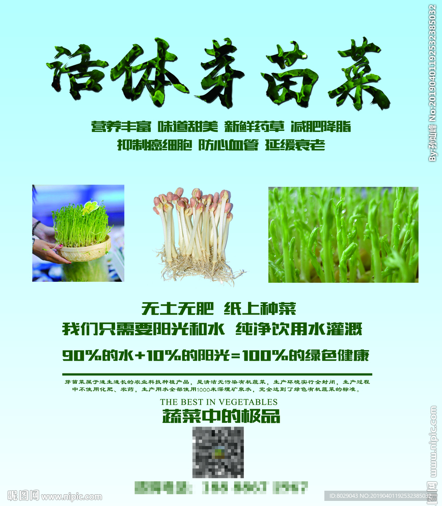 活体芽苗菜海报