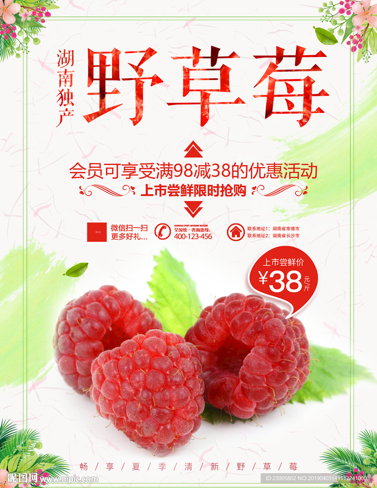 野草莓海报