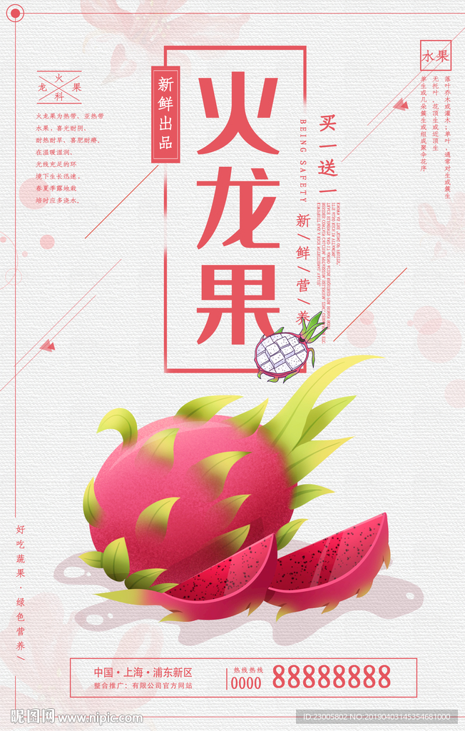 火龙果海报