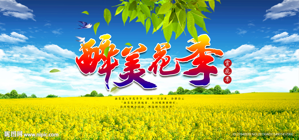 醉美花季