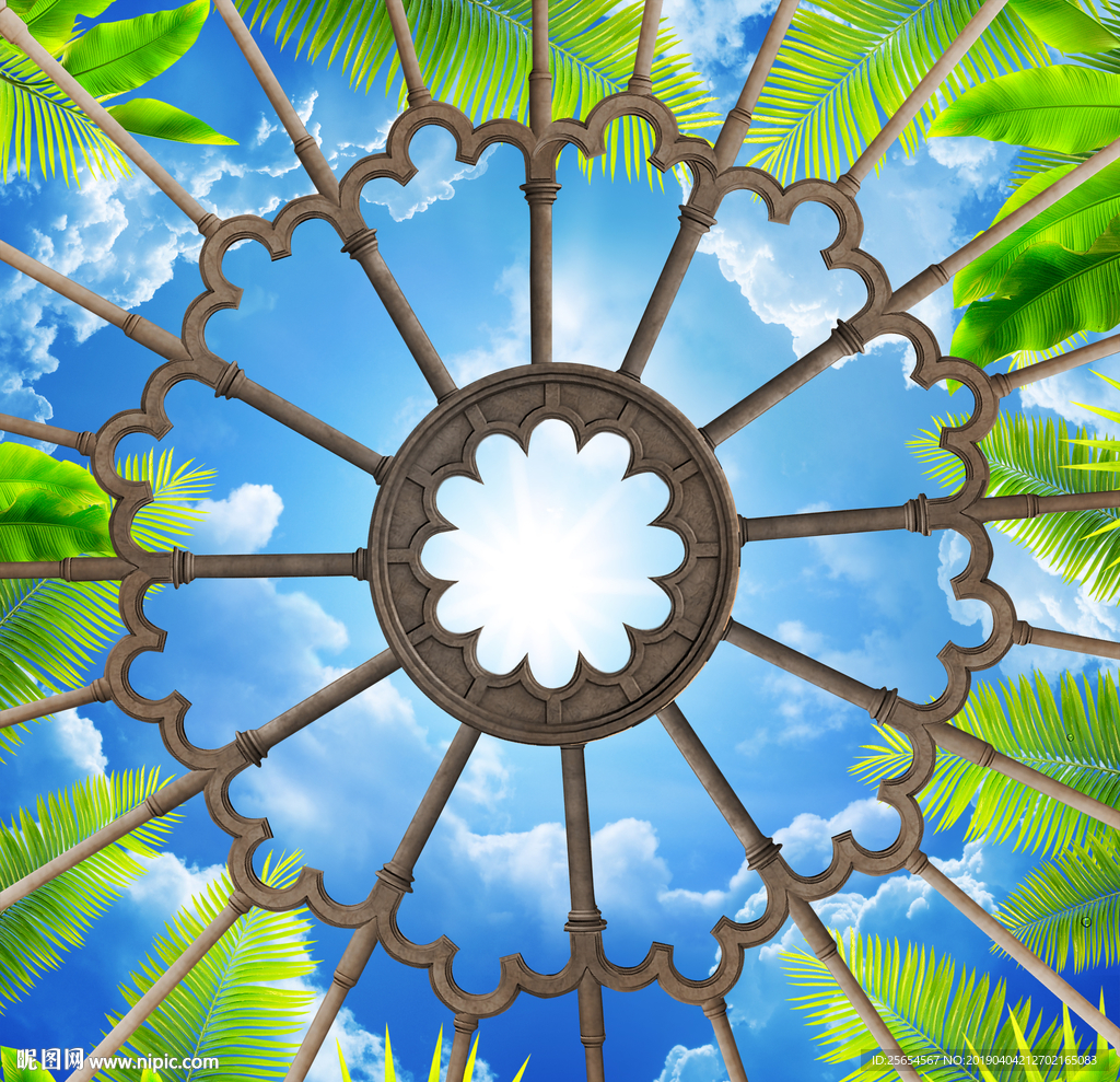 花纹树叶天空天顶