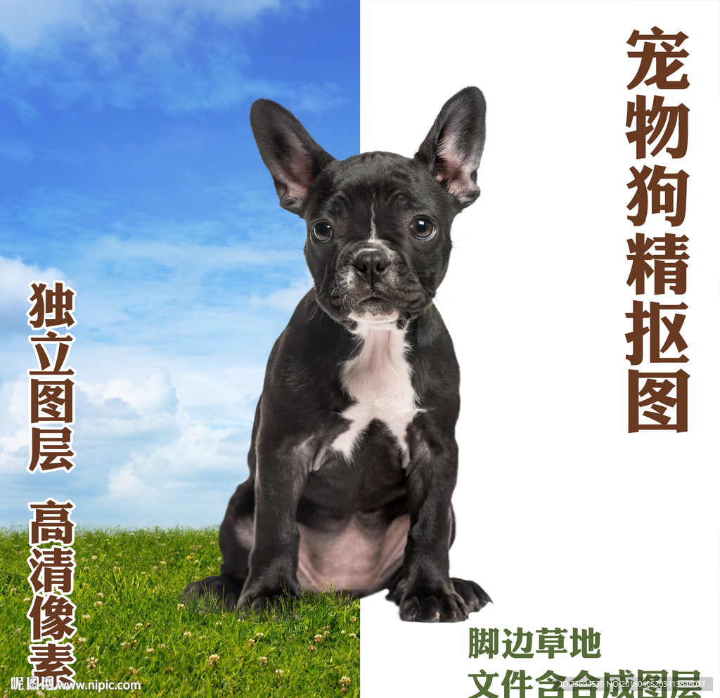狗