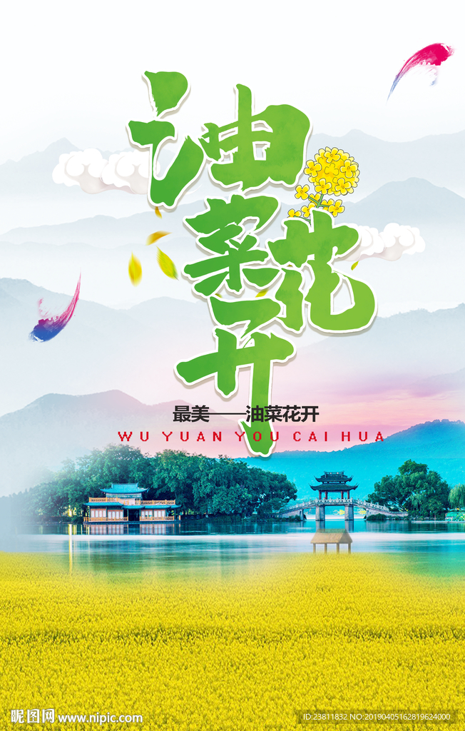 油菜花