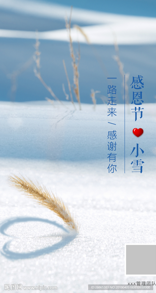 小雪海报