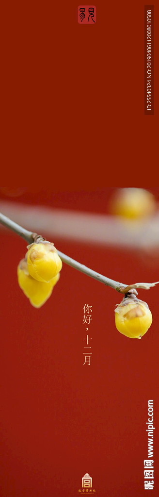 十二月你好