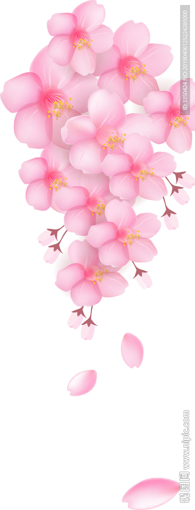 樱花装饰白色花瓣春天装饰素材