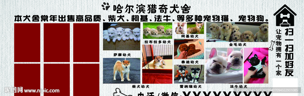宠物店
