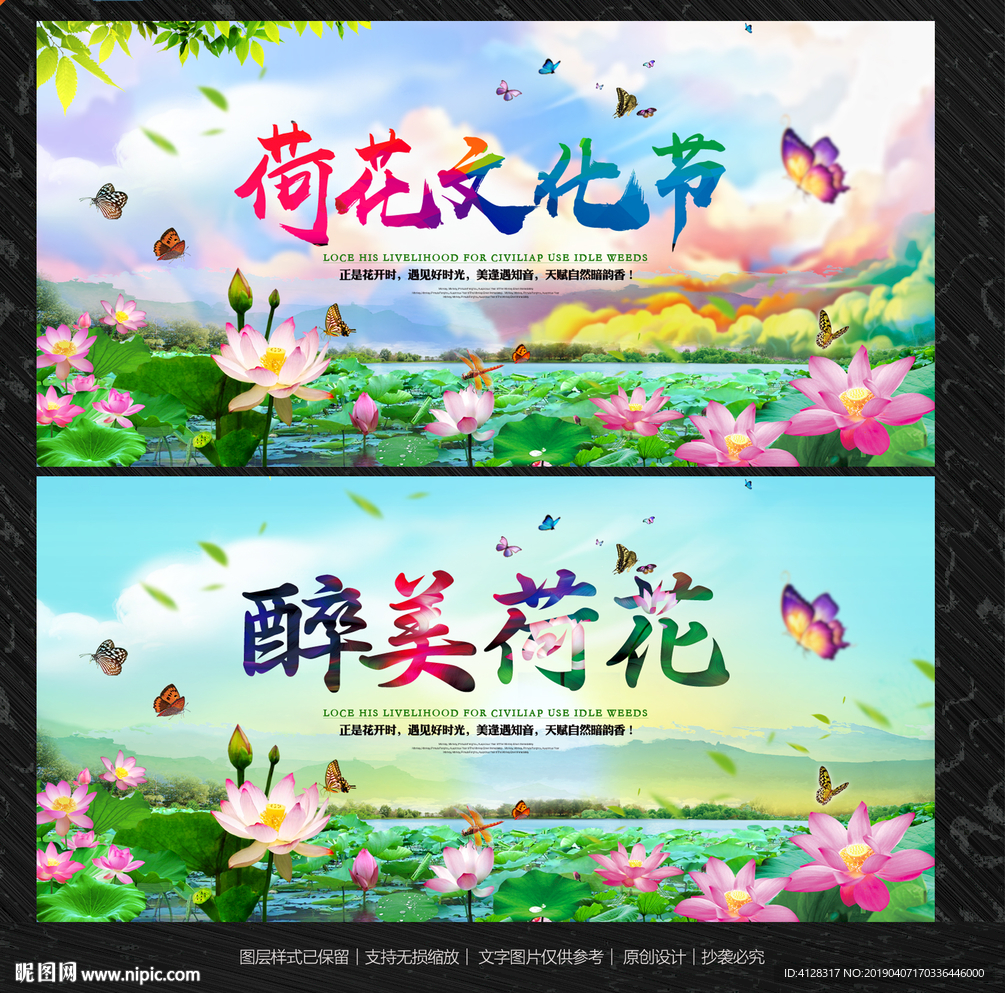 荷花