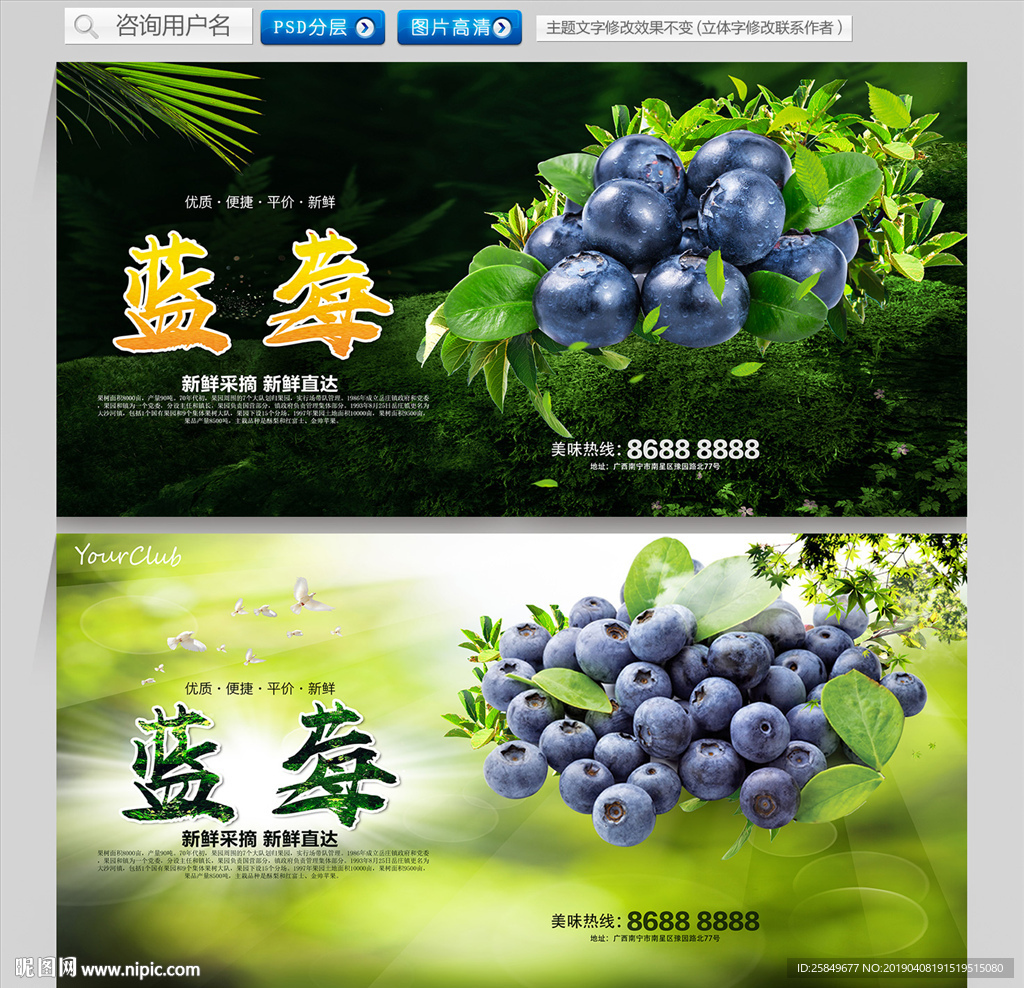 蓝莓