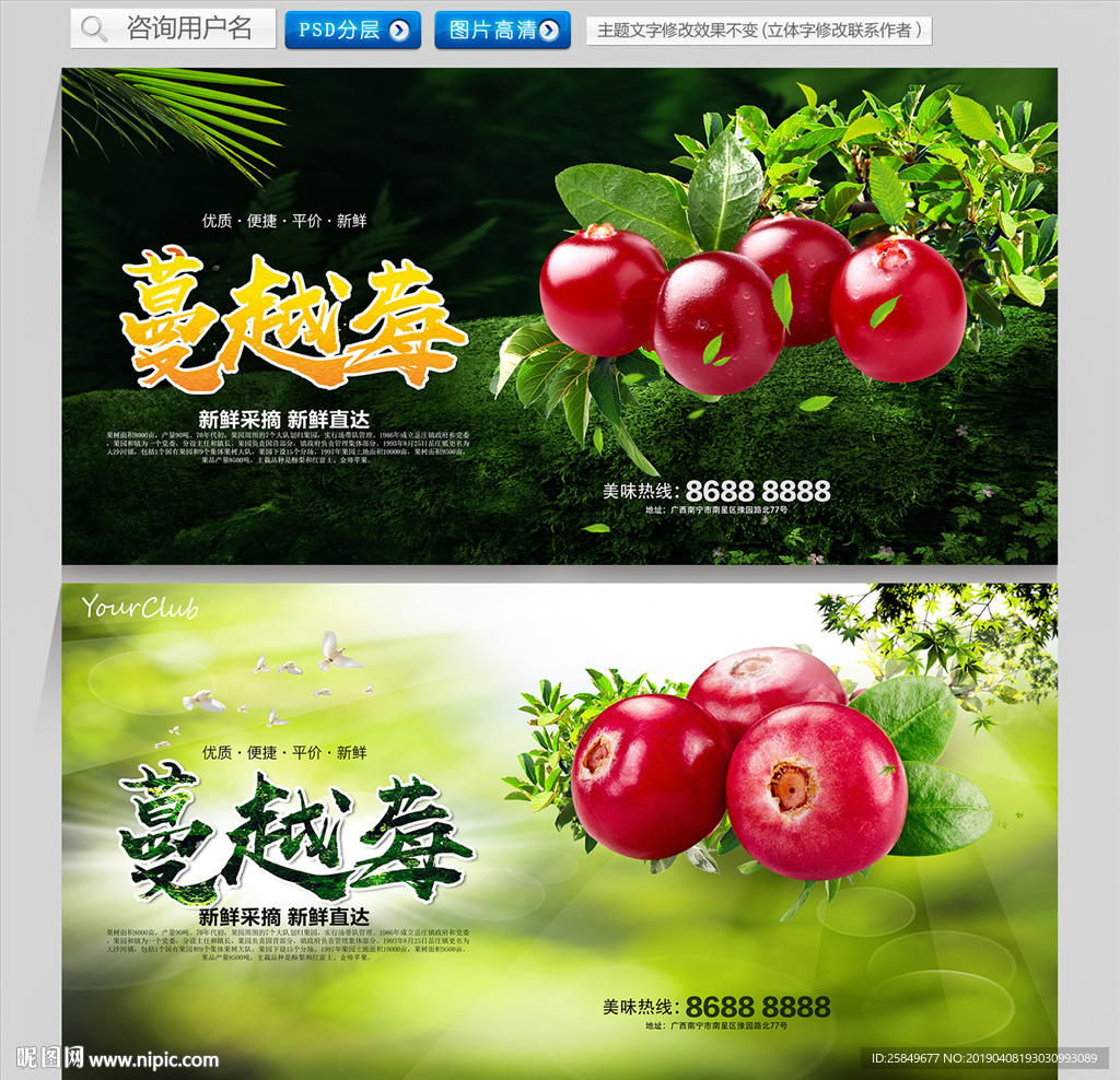 蔓越莓