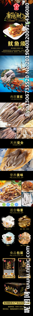 鱿鱼须详情