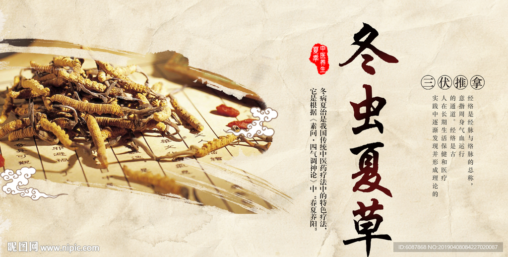 中药展板