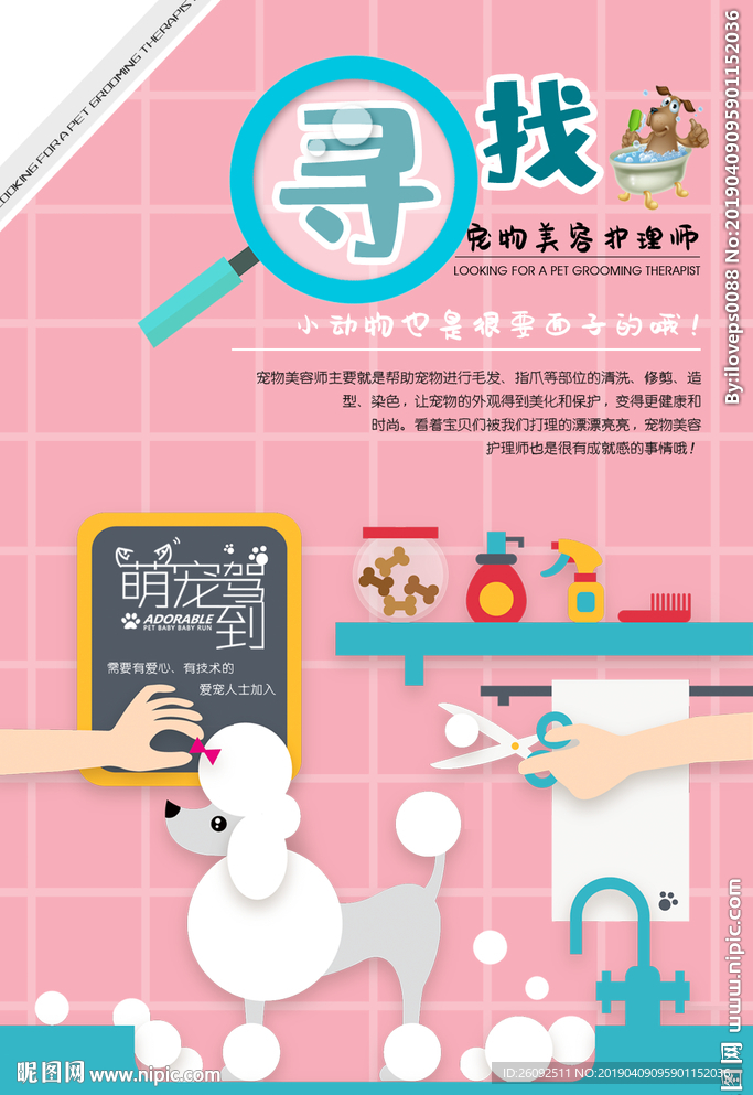 招聘宠物美容师