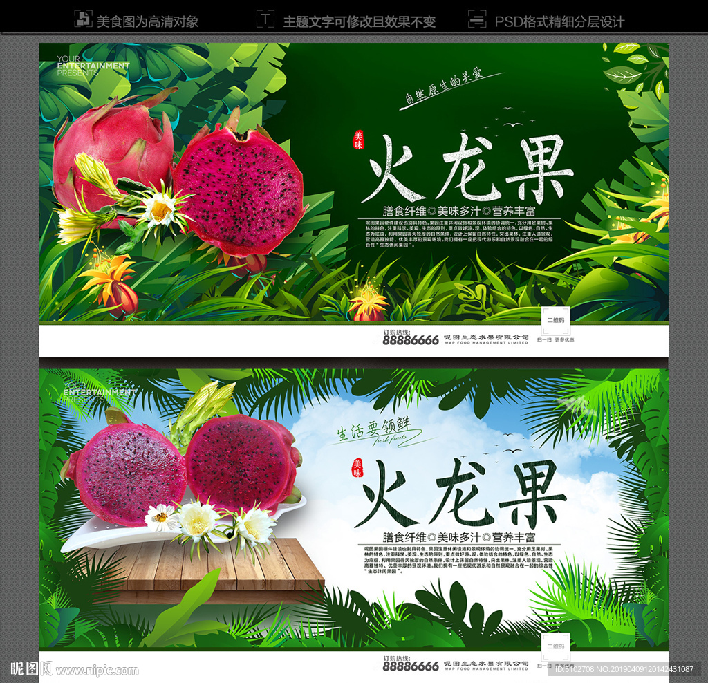 火龙果海报