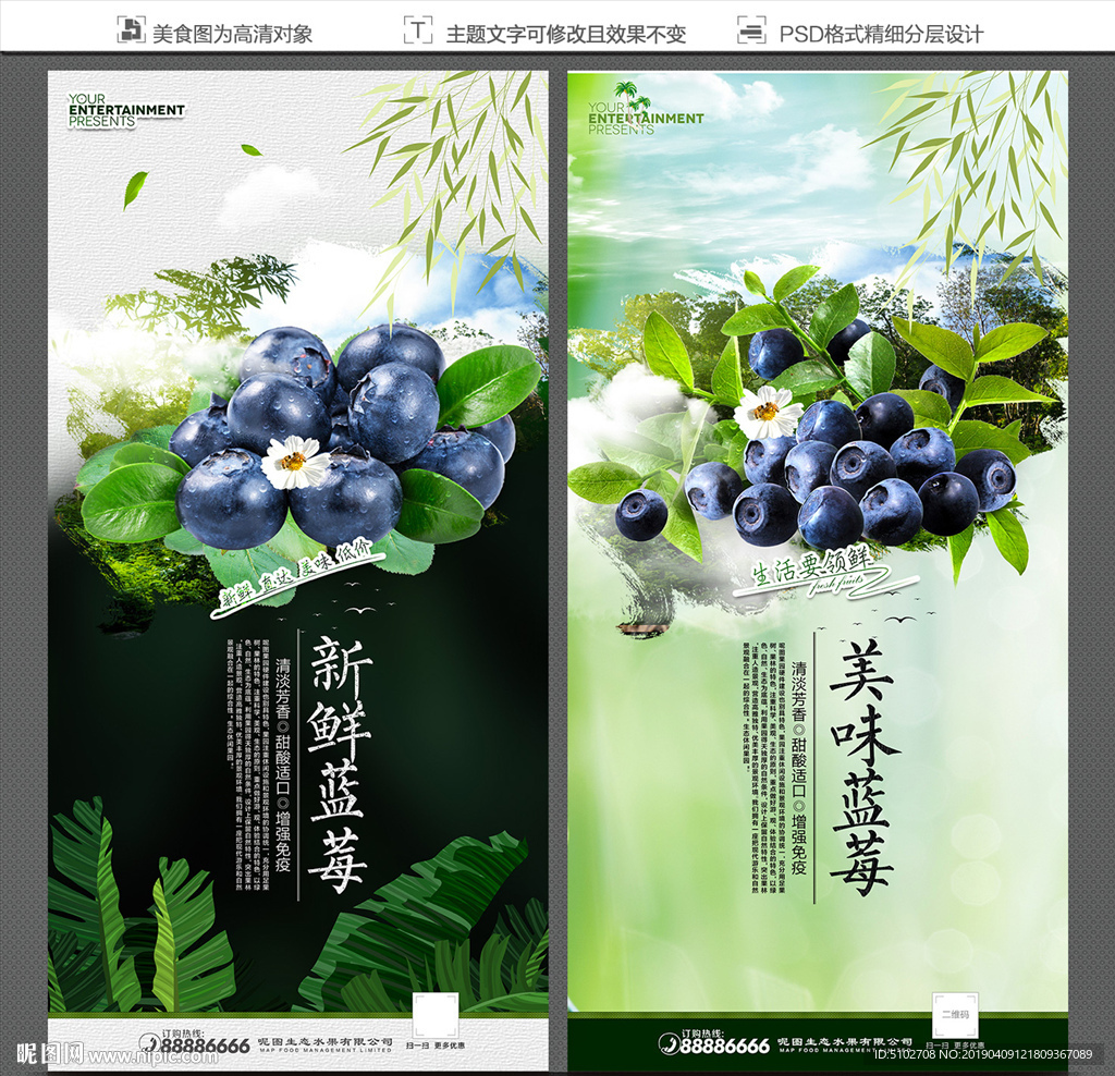 蓝莓