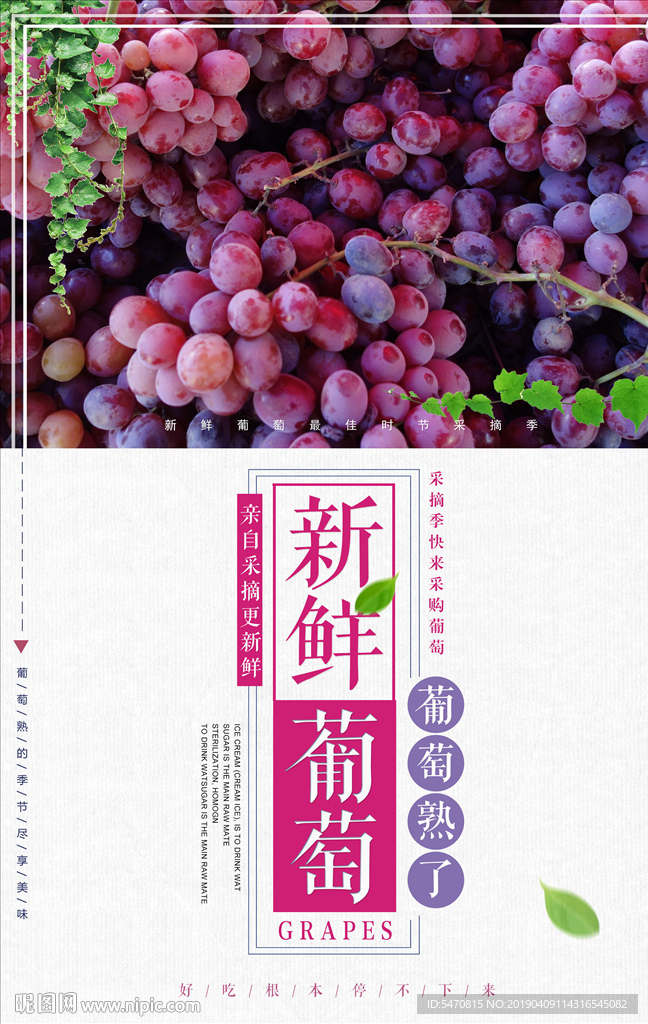 新鲜葡萄海报