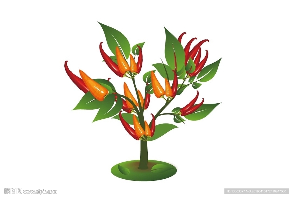 指天椒 矢量蔬菜
