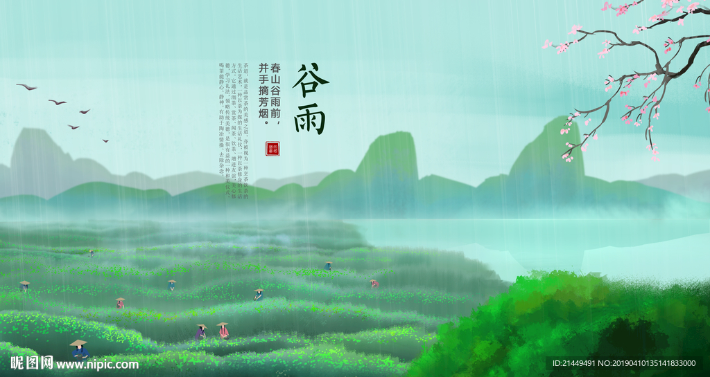 谷雨采茶