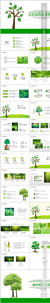 小树苗发芽生长绿色课件PPT