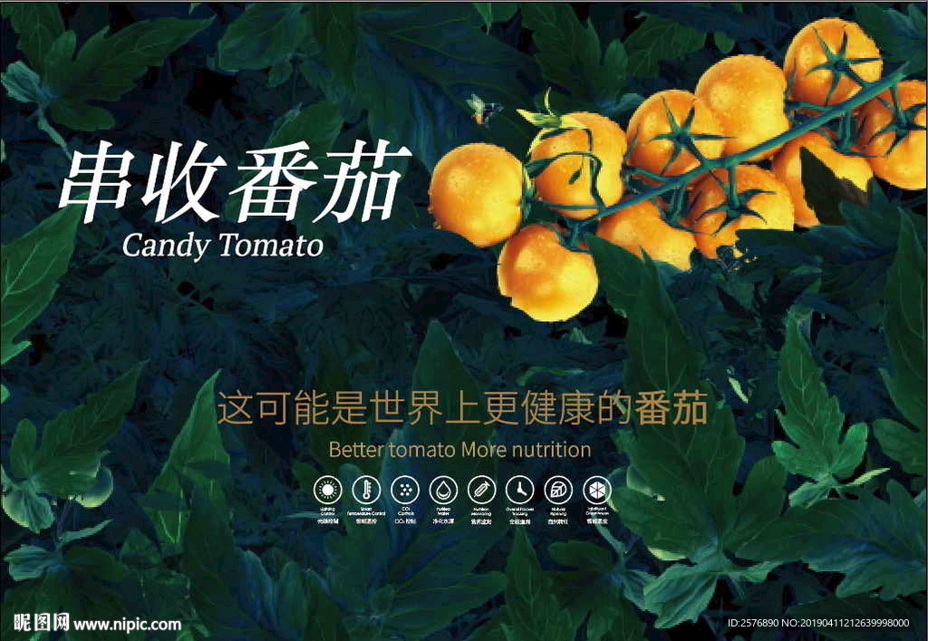串收番茄