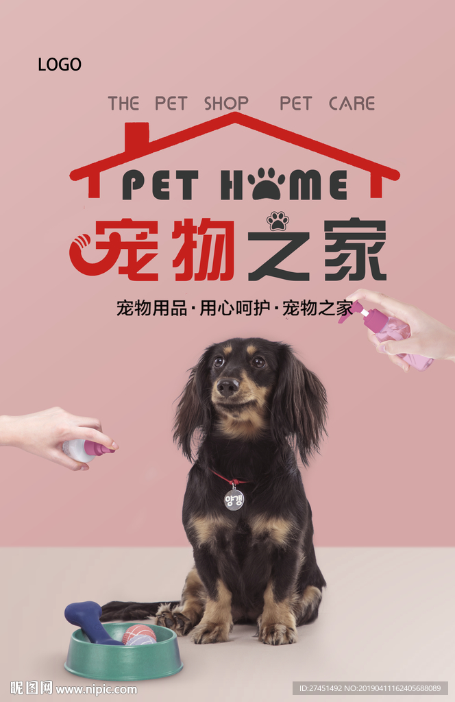 宠物