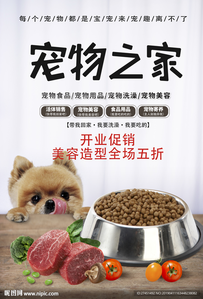 宠物