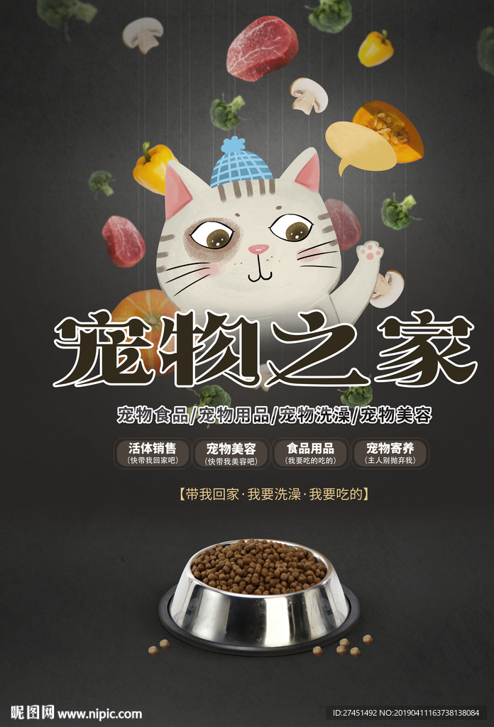 宠物