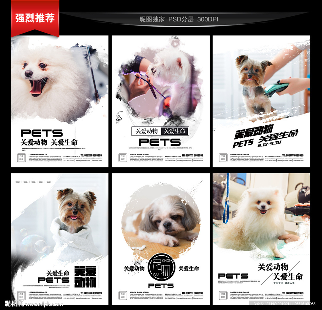 宠物美容