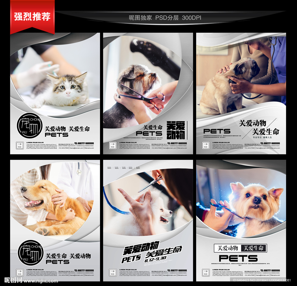 宠物美容