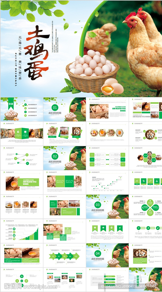 养鸡场生态养殖农家土鸡蛋ppt