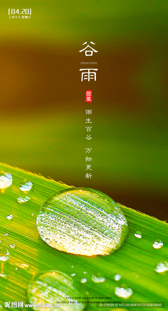 谷雨