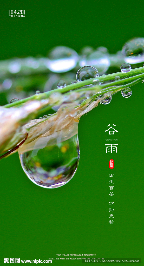 谷雨