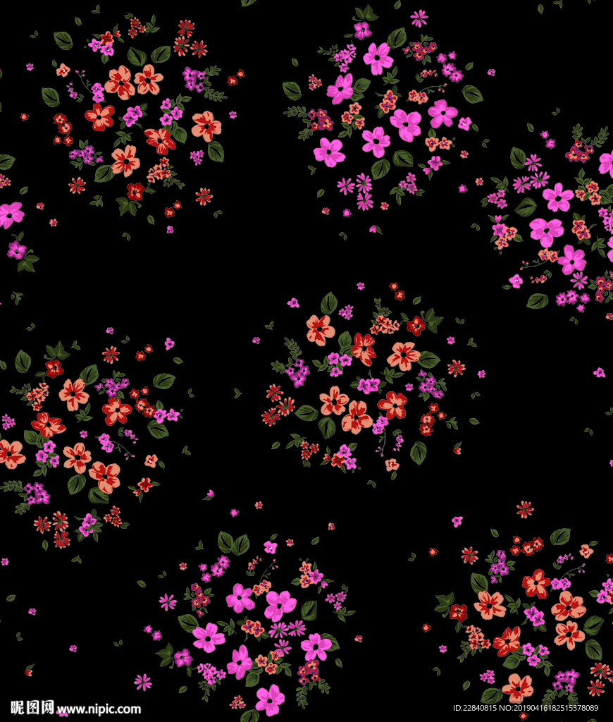 黑底小花 小花 花朵 花卉