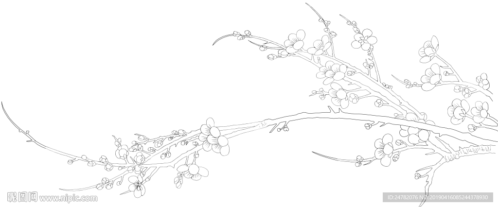 梅花白描