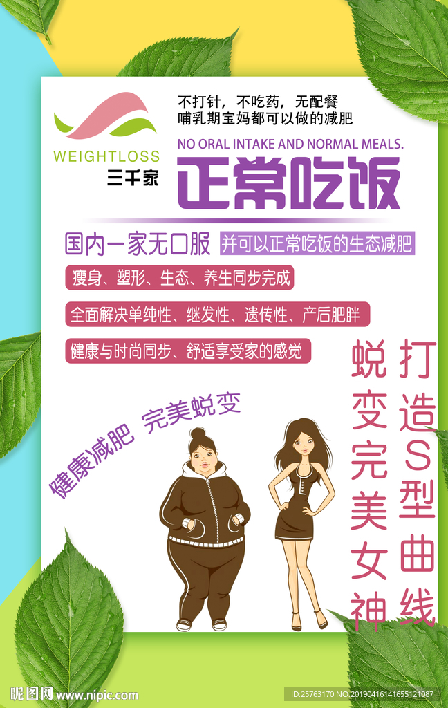 减肥彩页