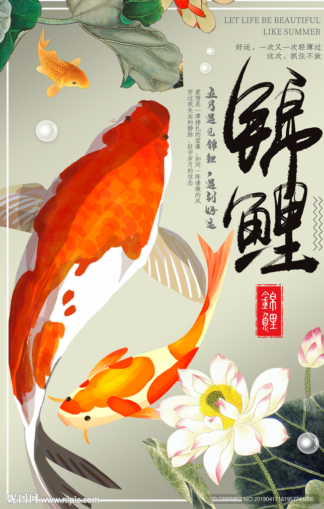 五月锦鲤