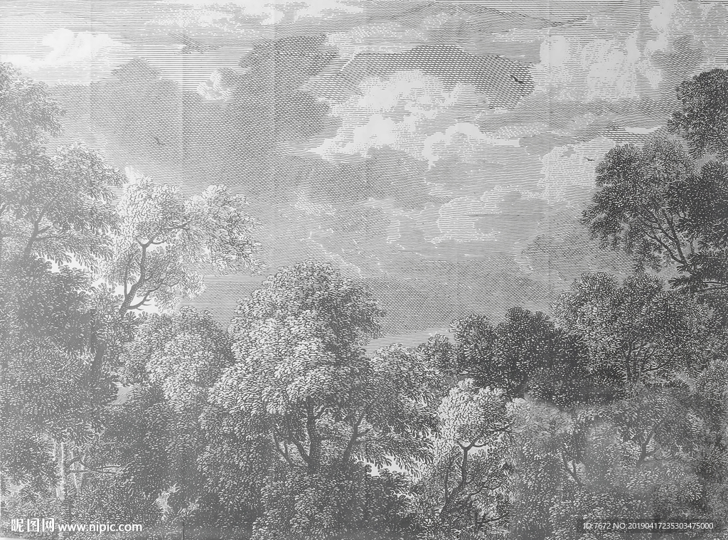 欧式手绘艺术雨林