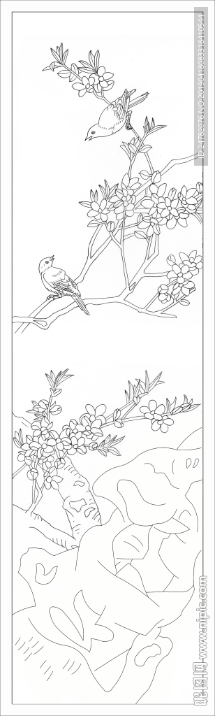 花鸟门