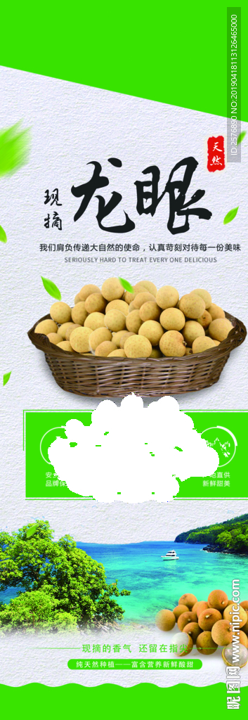 龙眼易拉宝